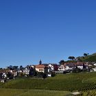 Lavaux