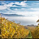 Lavaux I