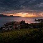 Lavaux Sunset