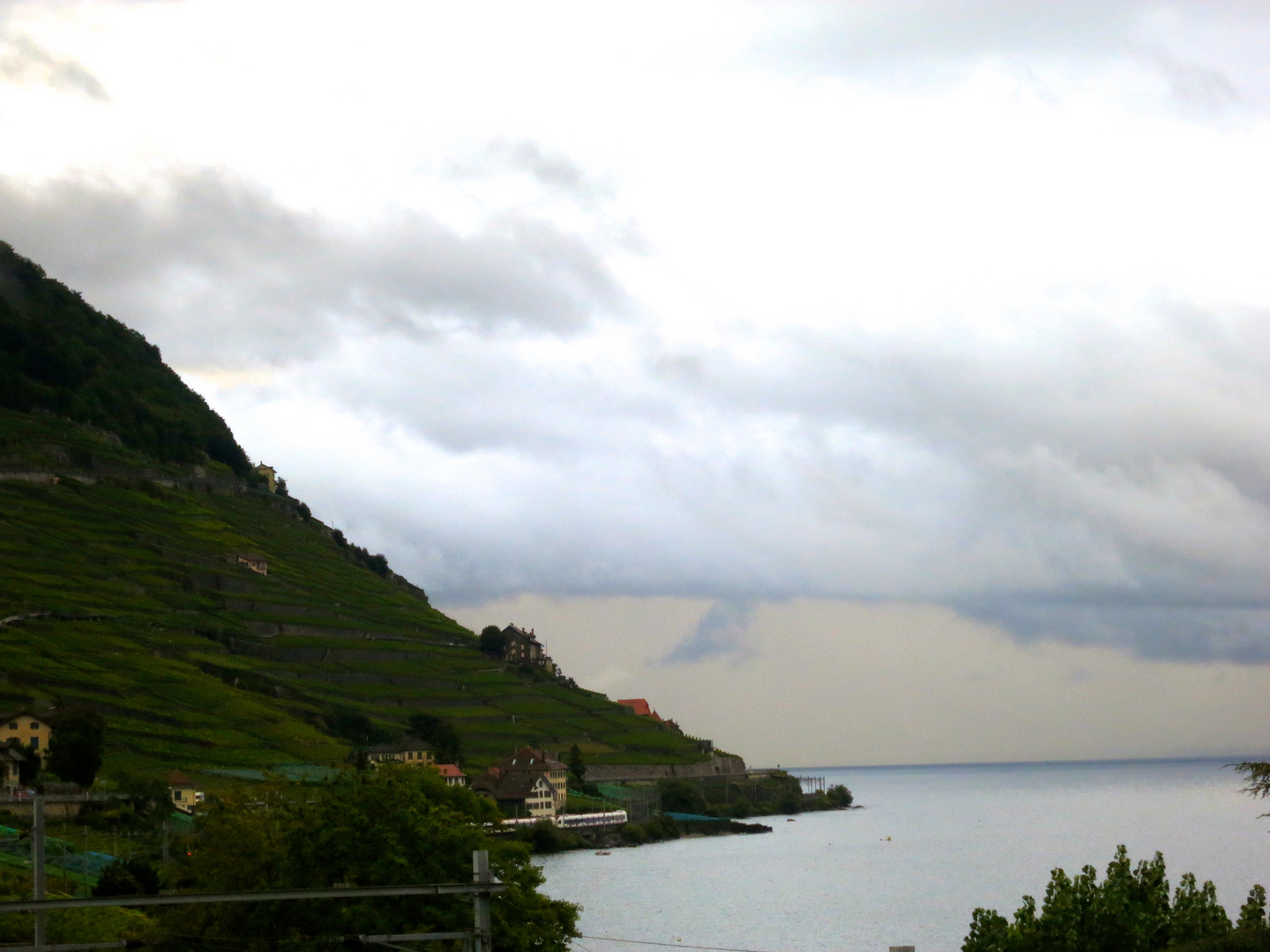 Lavaux (VD)