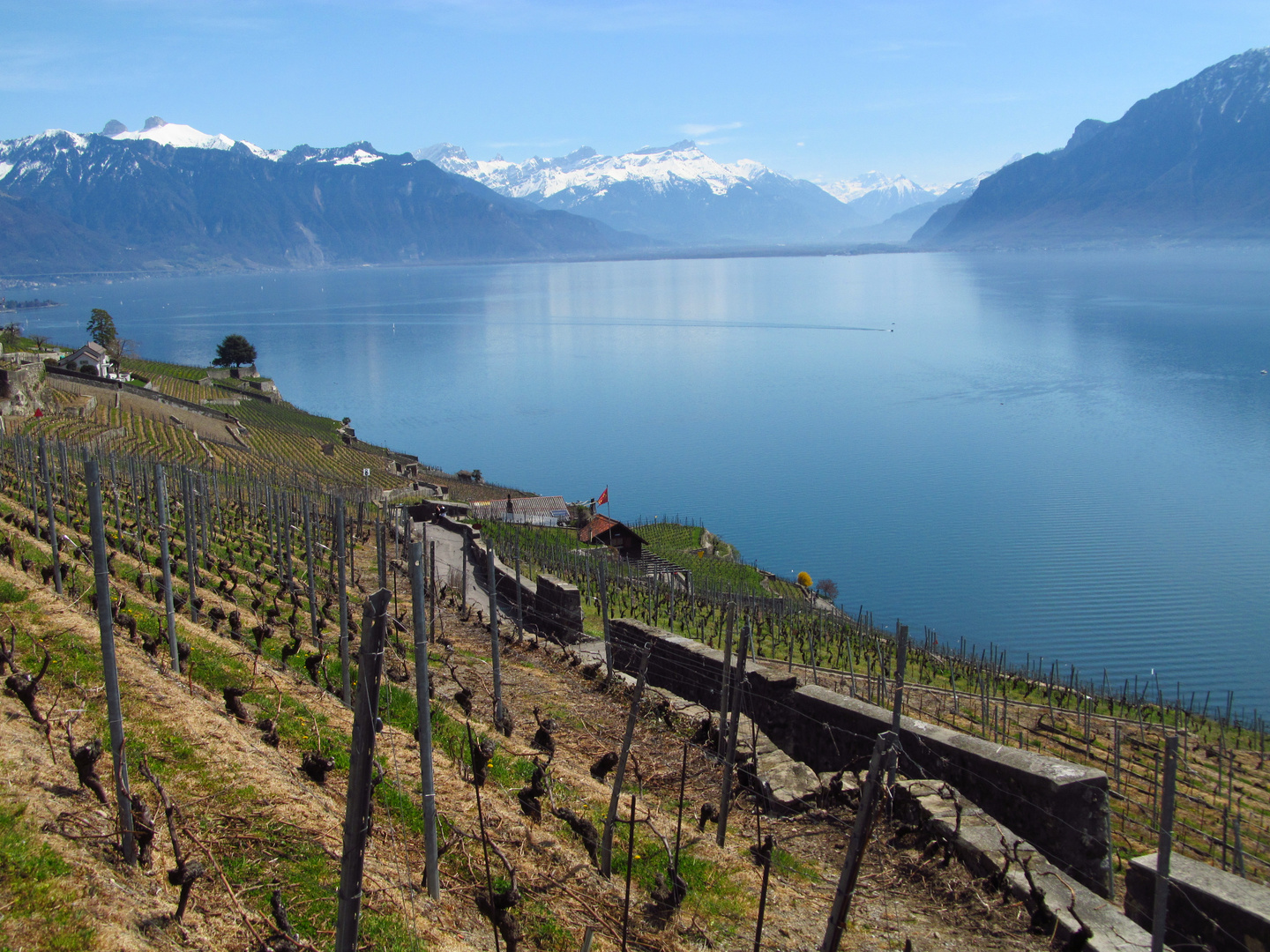 Lavaux, Weinbaugebiet am Genfersee