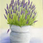 Lavendel