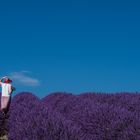  Lavendel blau 2