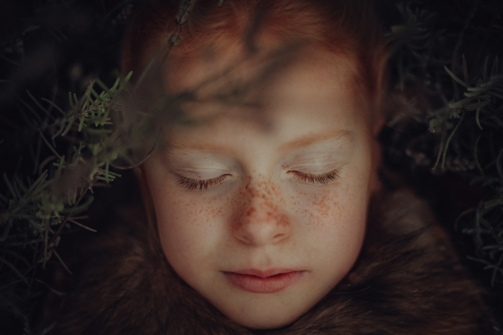Lavendel Foto &amp; Bild | kinder, kinder im schulalter, portrait Bilder ...