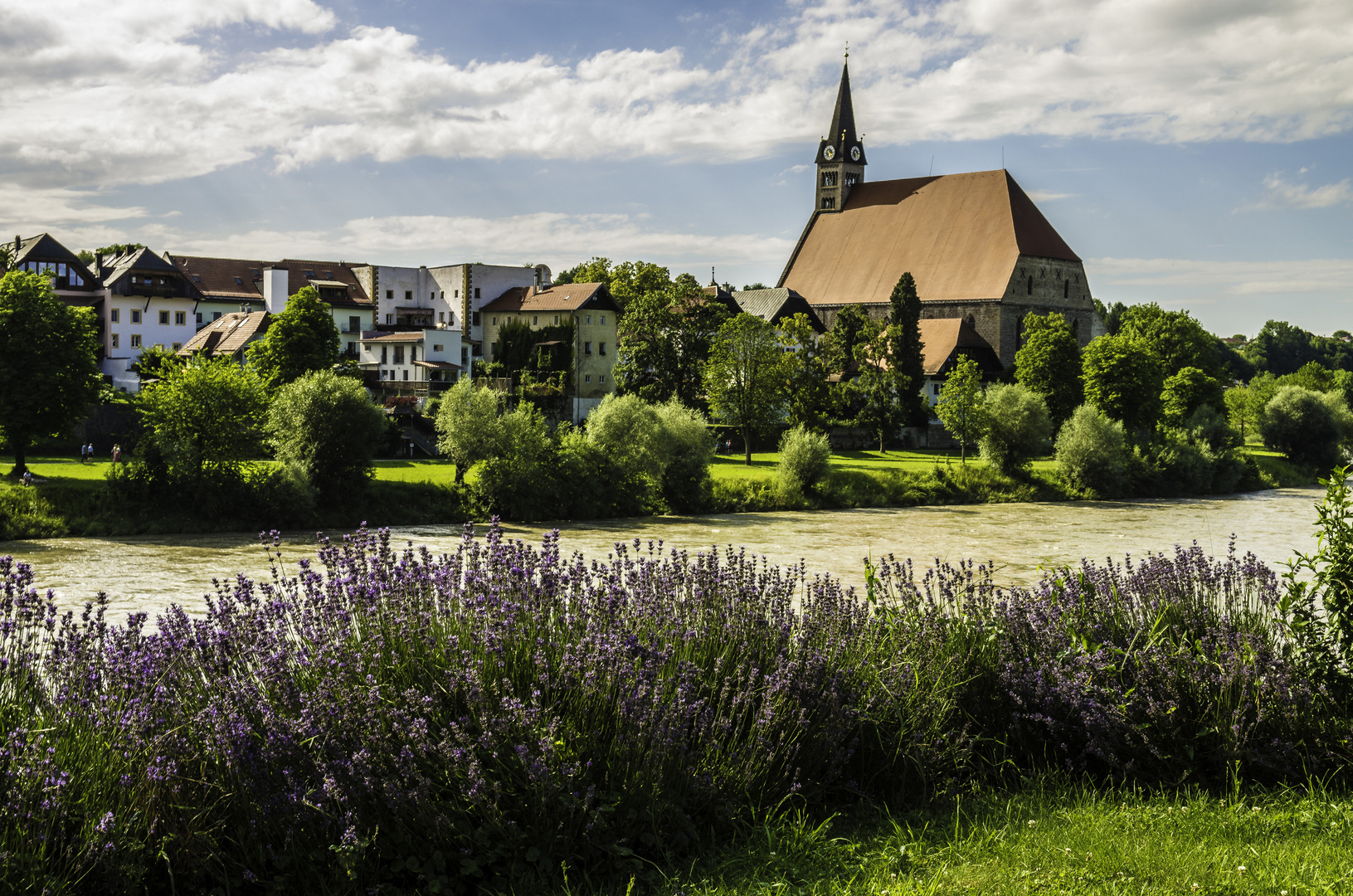 Lavendel 