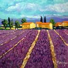 Lavendel, Provence