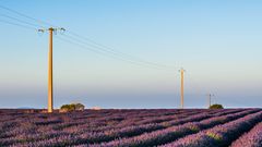 Lavendel? - Provence! (III)