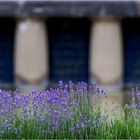 Lavendel trifft Jugendstil