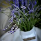 Lavendel trifft Milchkanne