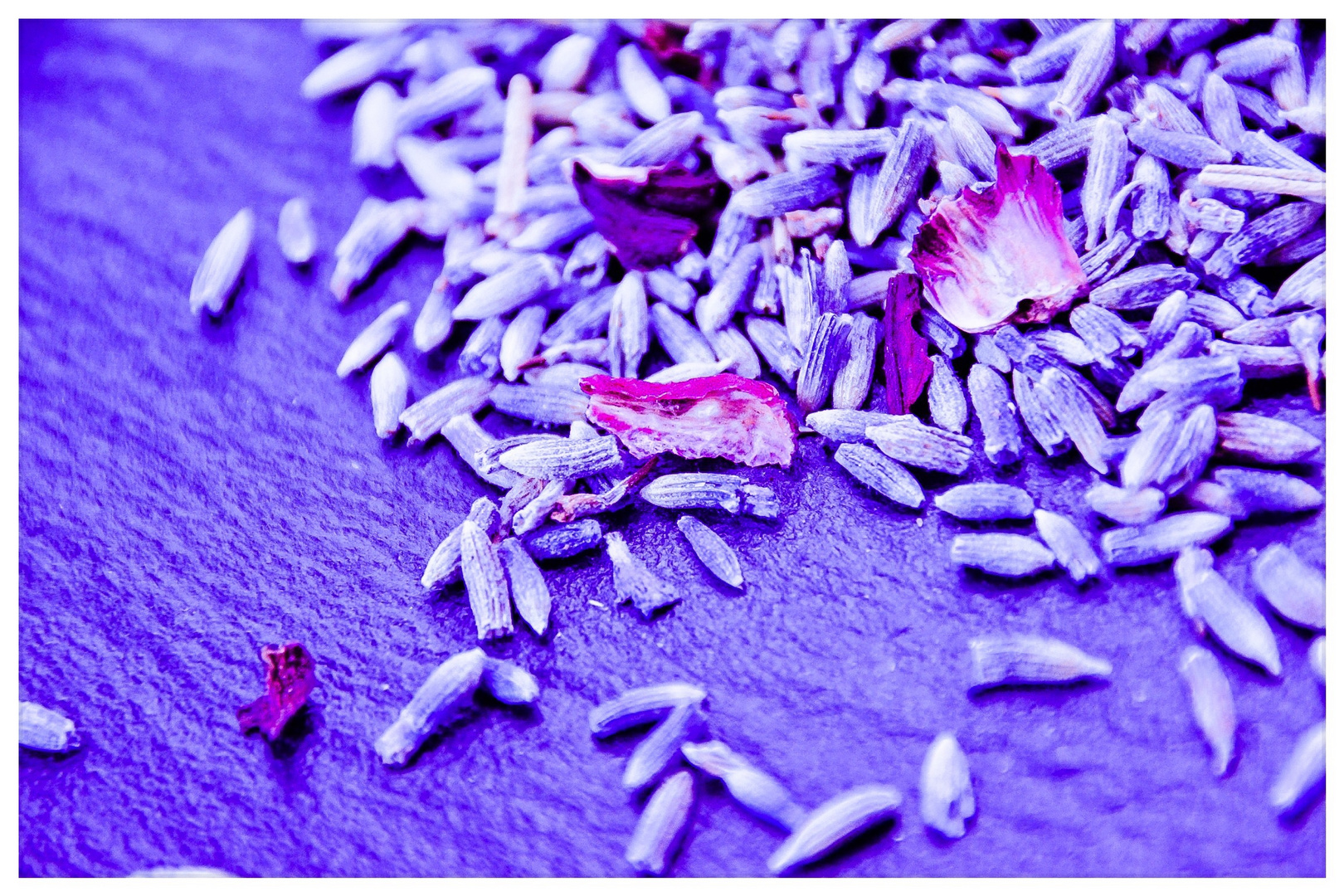 Lavendel und Hibiskusblüten