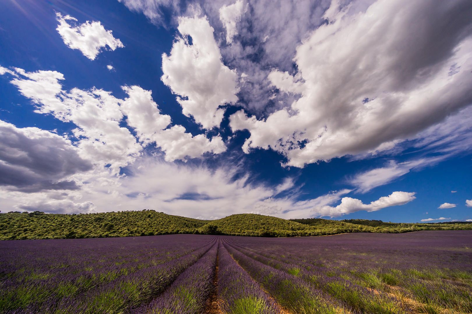 Lavendel und Wolken