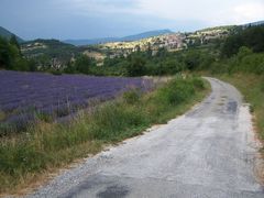 Lavendel, village - the road, France 2006