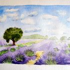 ~~Lavendelfeld~~