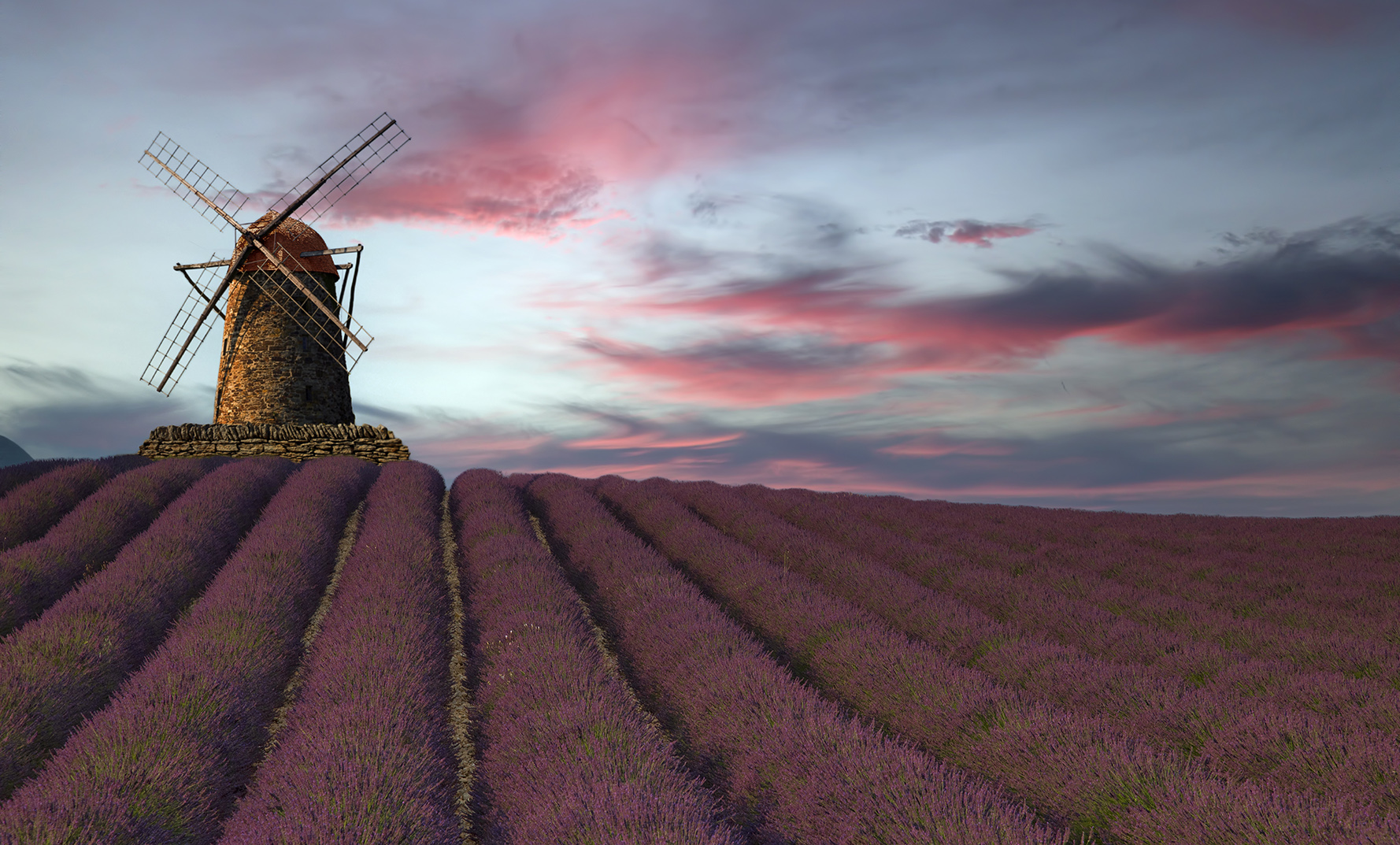 Lavendelfeld mit Mühle  Provence Südfrankreich Sonnenuntergangsstimmung