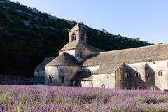 Lavendelfeld und Zisterzienserabtei Sénanque im frühen Morgenlicht