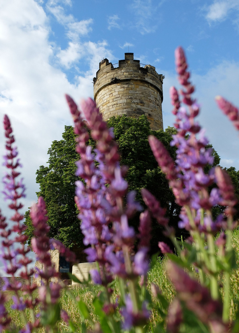 Lavendelturm