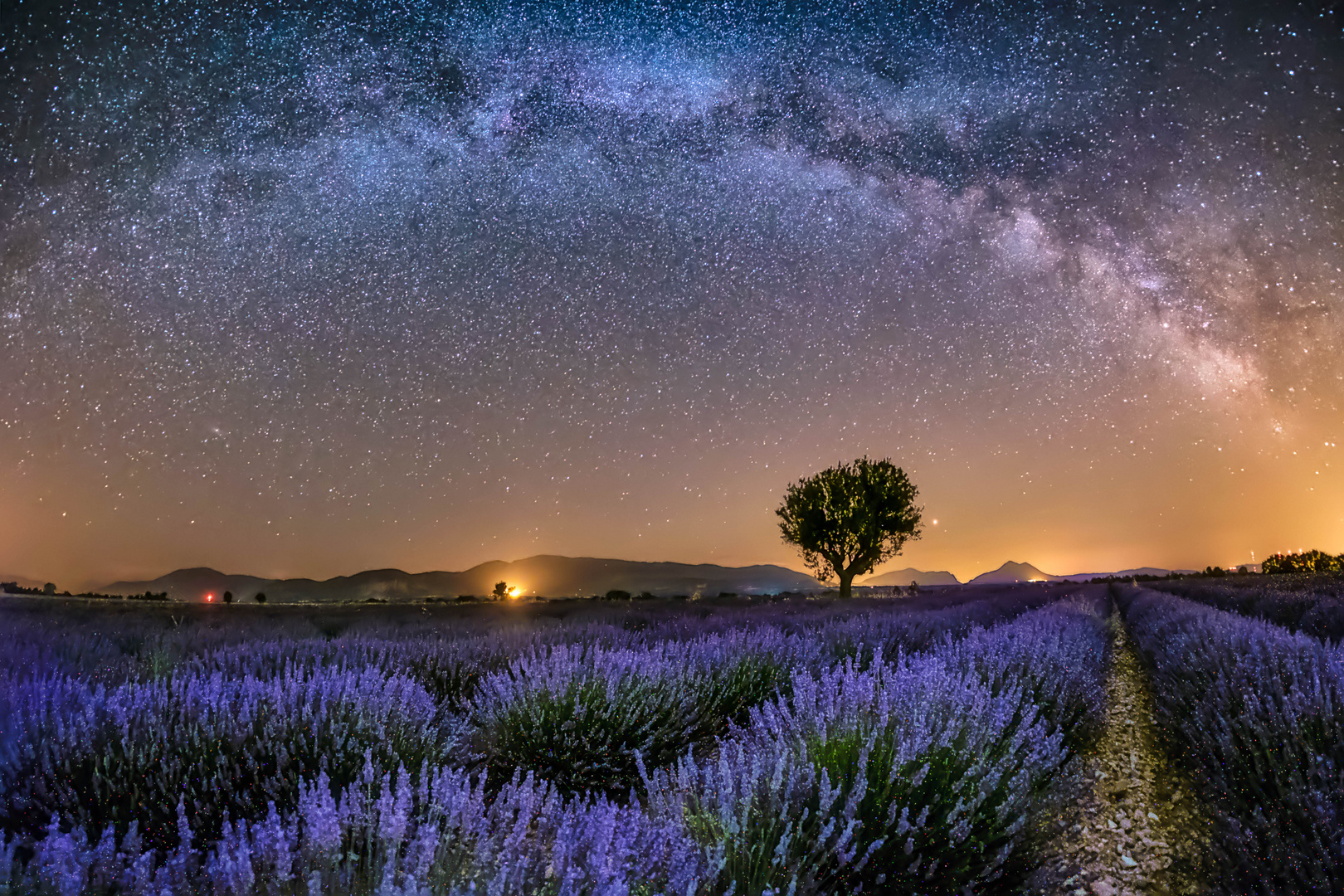 Lavender field under the Milky Way Arch