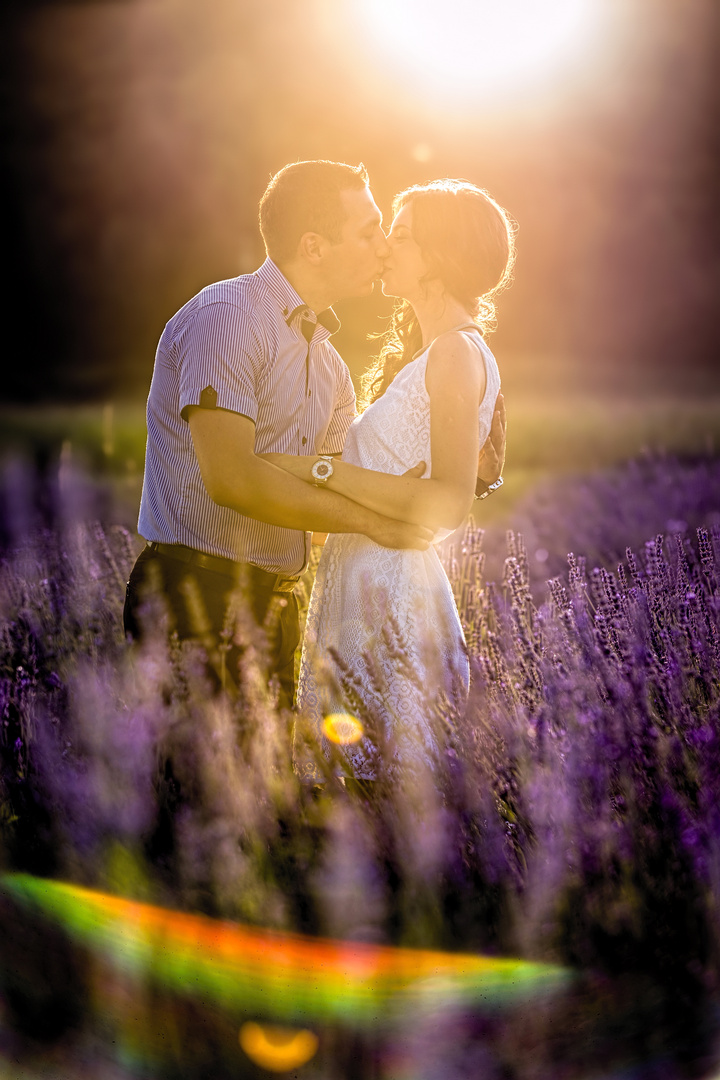 Lavender Lovers