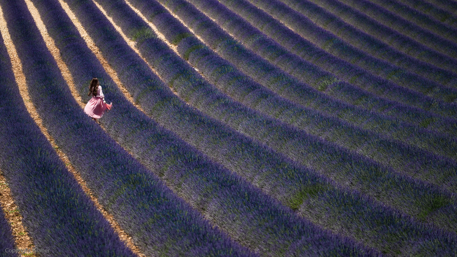 Lavender stream