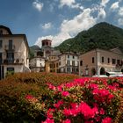 Laveno dai giardini