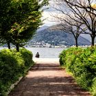 Laveno, lungolago