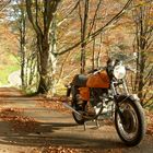 Laverda SF 750 - Indian Summer