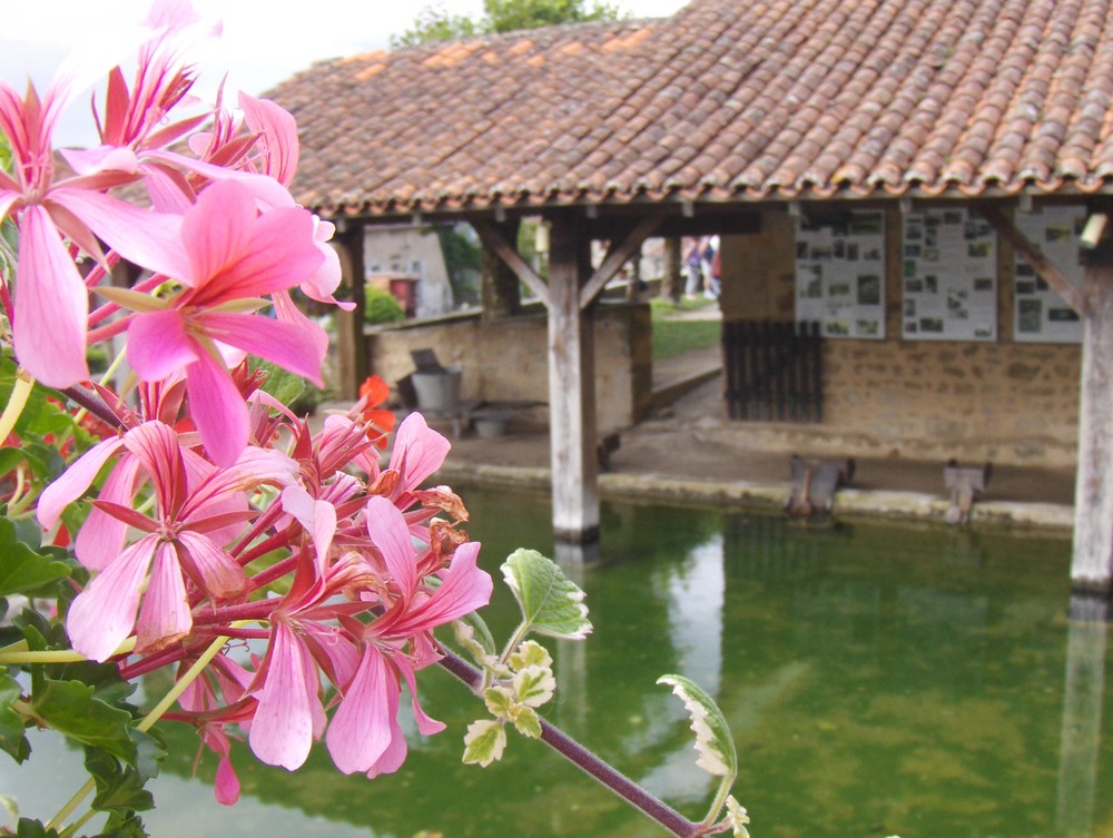 Lavoir