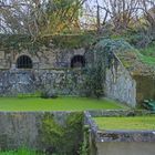 Lavoir à Saint-Orens-Pouy-Petit