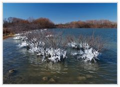 Lavon Lake - Allen,TX