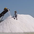 Lavorando il sale