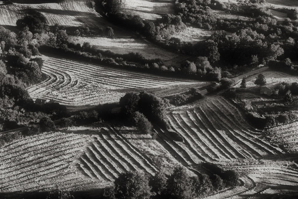 Lavorare i campi