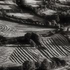 Lavorare i campi