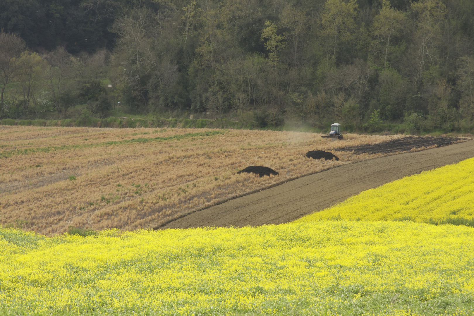 Lavori di primavera