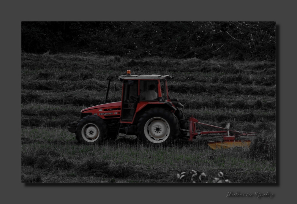 Lavoro Agricolo