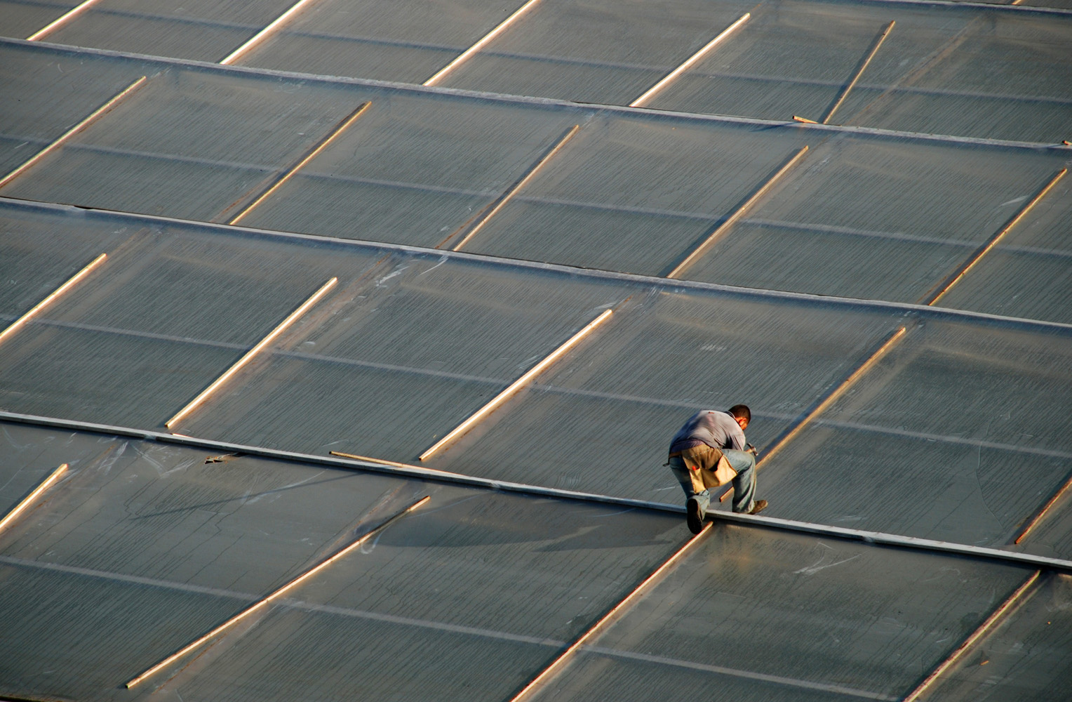 "Lavoro al sole" di Guglielmo Rispoli