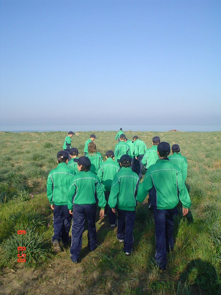 lavoro di squadra