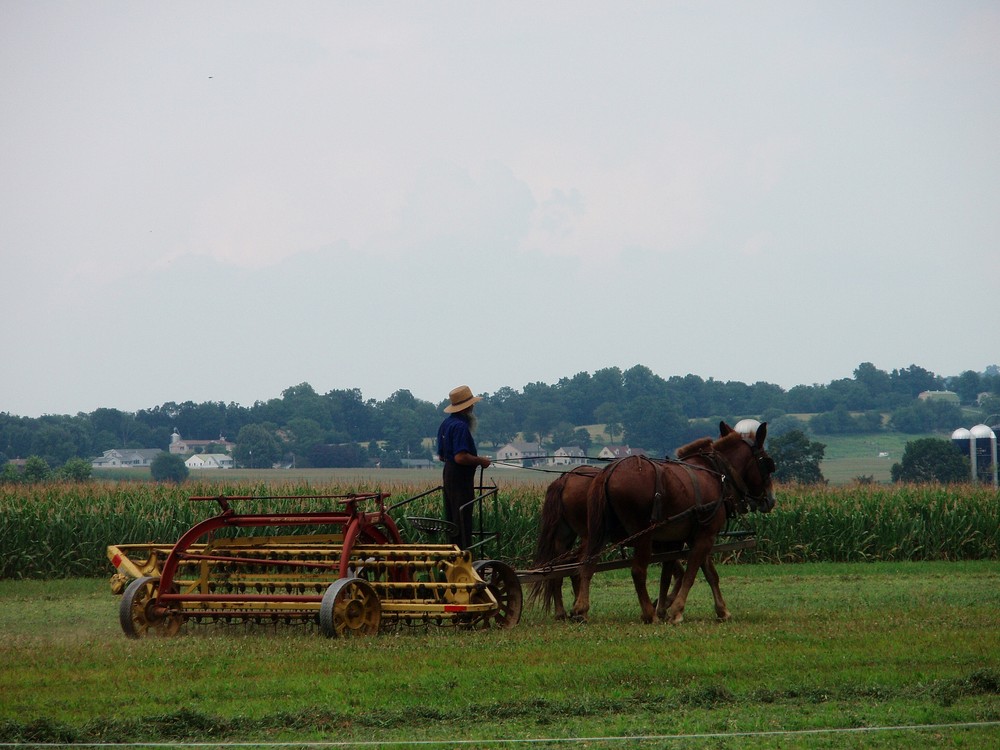 Lavoro e natura