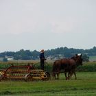 Lavoro e natura