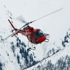 Lawinenhunde-Flugtraining