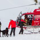 Lawinenhunde-Flugtraining