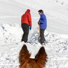 Lawinenhundetraining