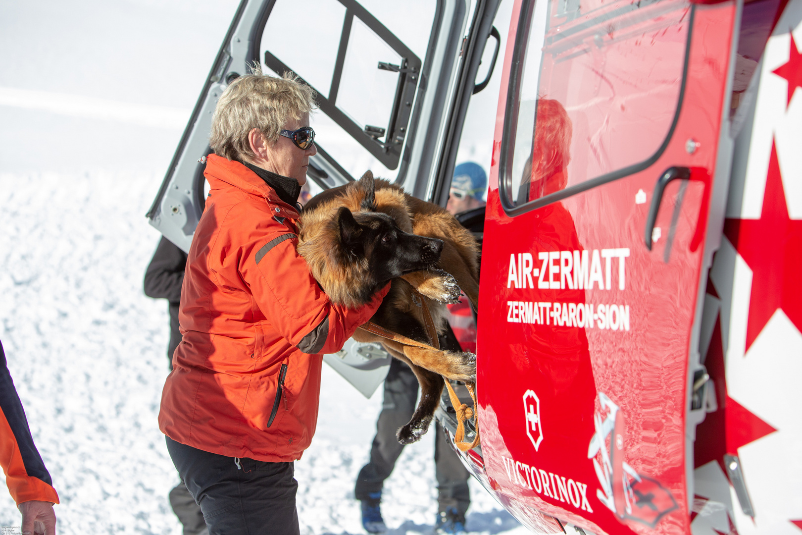 Lawinenhundetraining mit Hubschrauber