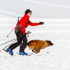 Lawinwnhunde - Training