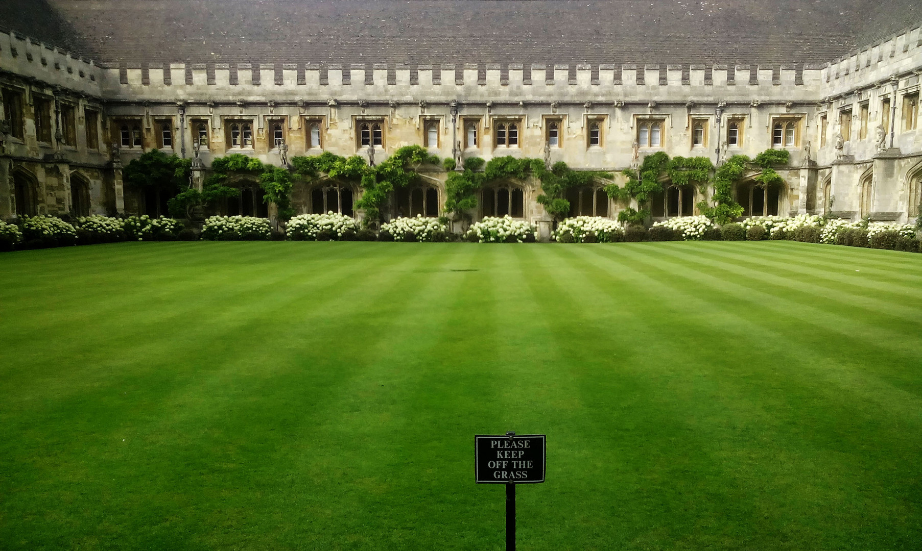 Lawn & Building