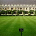 Lawn & Building