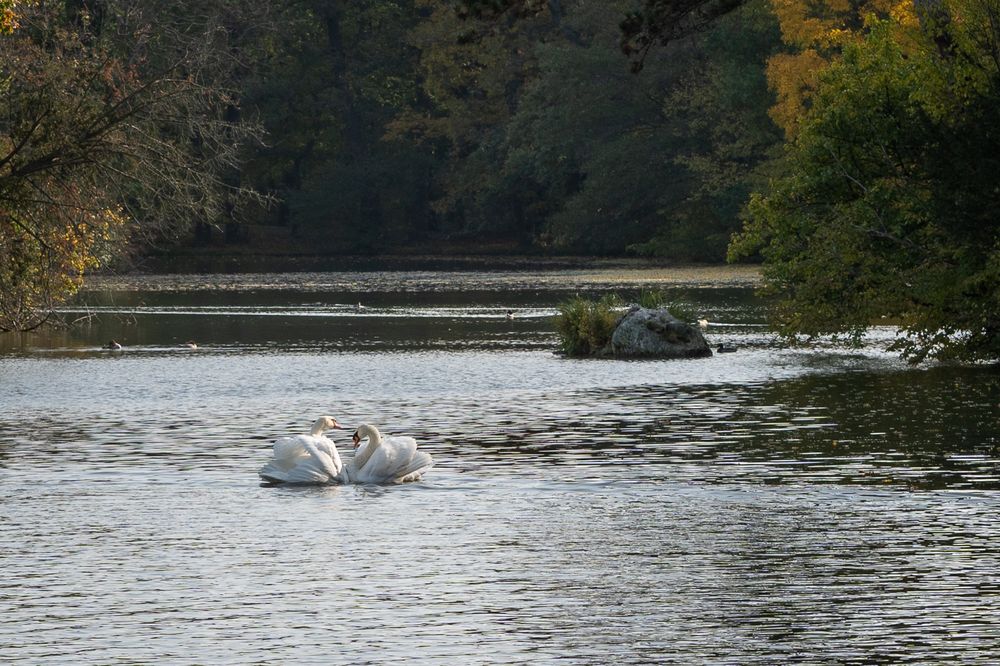 Laxenburg-2