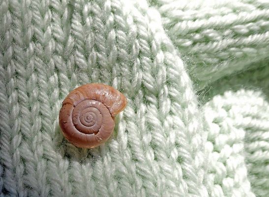 layette en cours ...