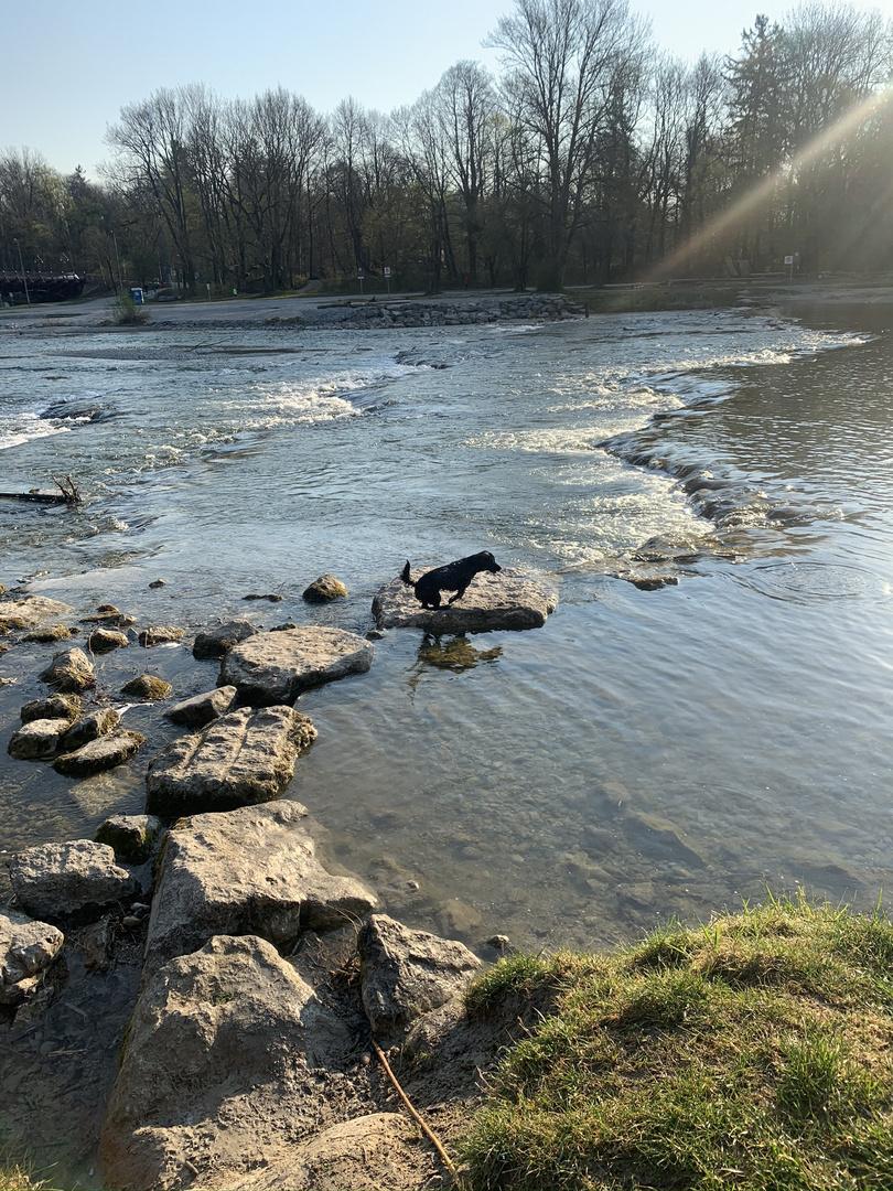 Layla in der Isar