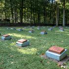 Lazarettfriedhof am Jagdschloss Gelbensande