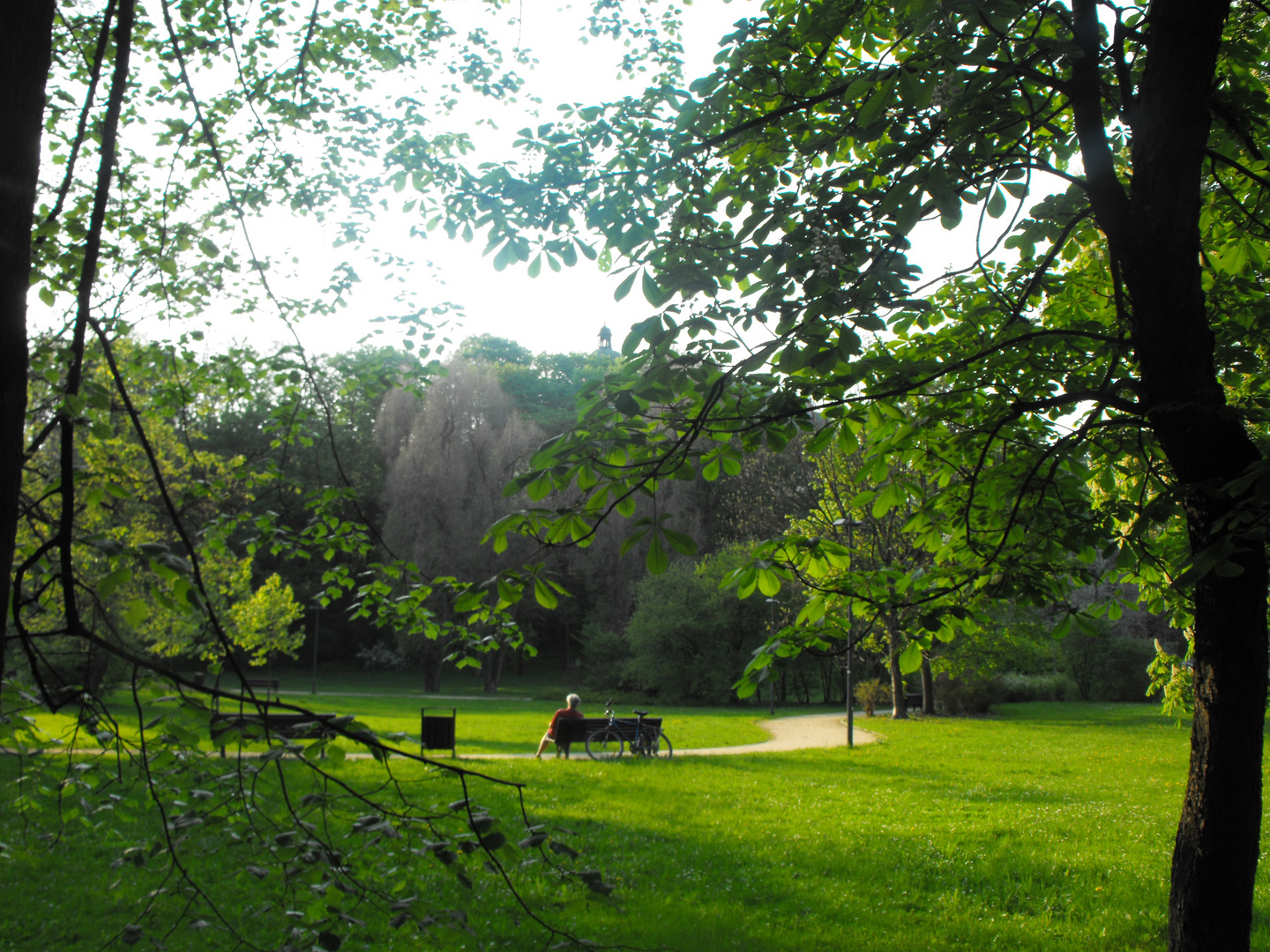 Lazienki Park II